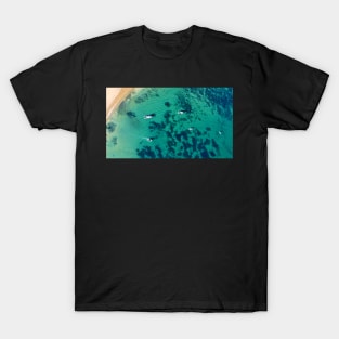 From above. T-Shirt